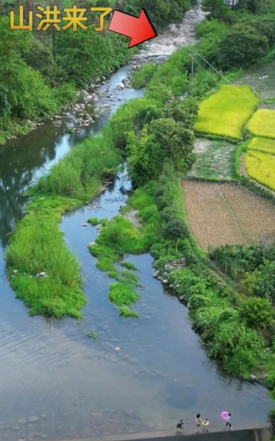 微信截图_20230828084548.png